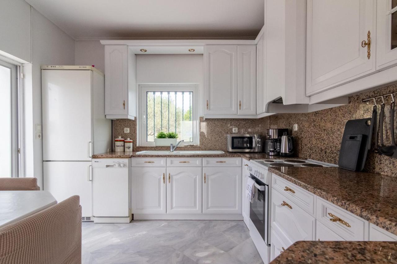 House With Amazing Ocean View And Patio - Pool Βίλα Πόρτο Χέλι Εξωτερικό φωτογραφία