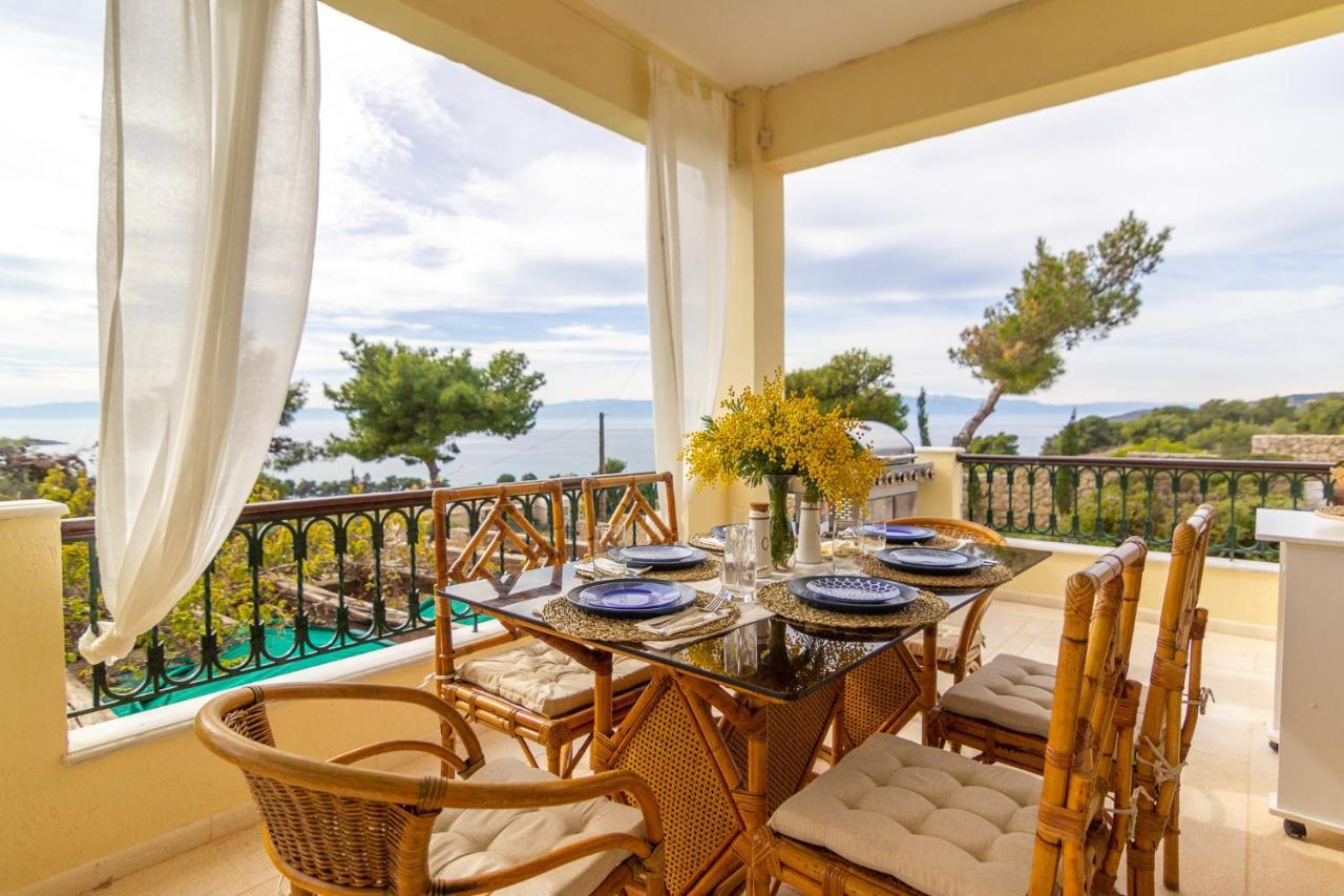 House With Amazing Ocean View And Patio - Pool Βίλα Πόρτο Χέλι Εξωτερικό φωτογραφία